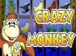 Crazy Monkey обезьянки игровой автомат
